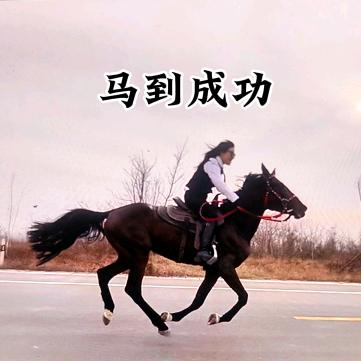 龙小六🐴