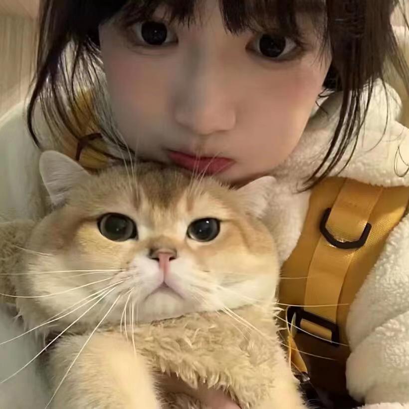 拿铁Ha