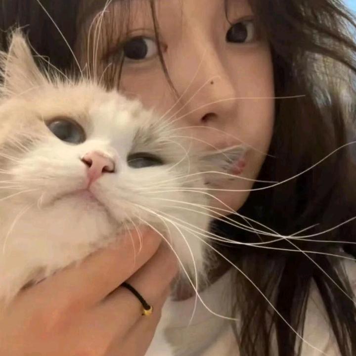 奶茶小妹🧋516