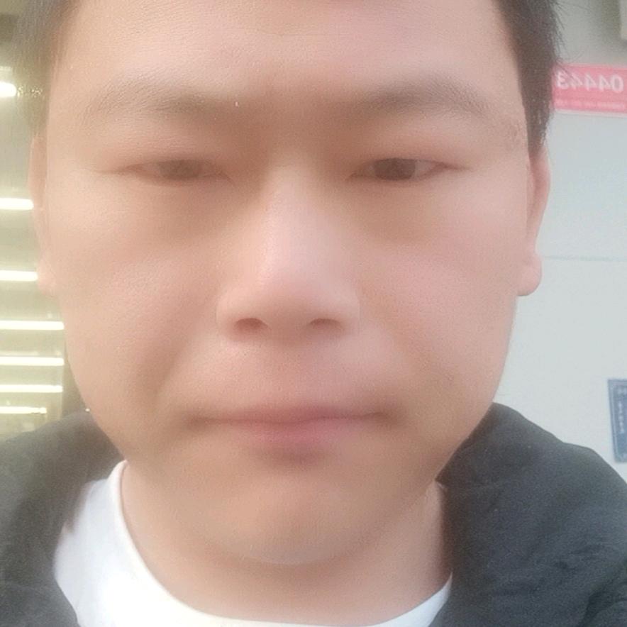 我是简单的猫咪