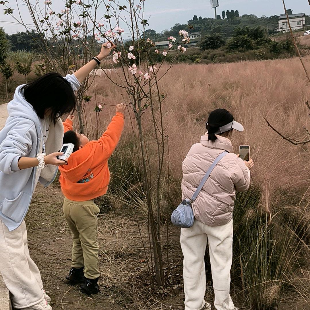 威远.建英刘