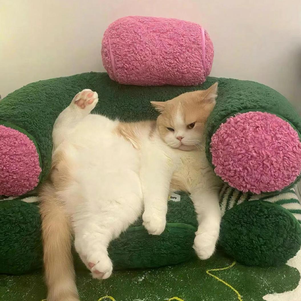 ¹顿吃¹⁰个蛋挞ꪔ͈̮