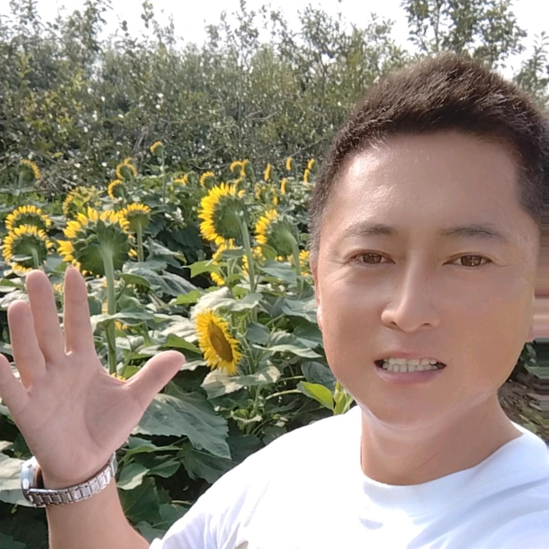 角杯元上青玉