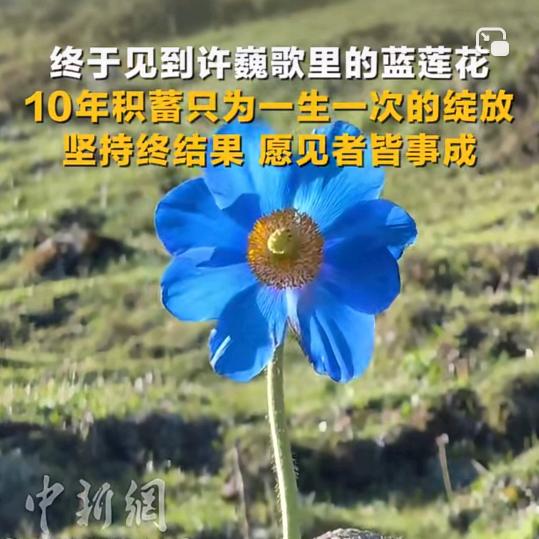 加油高考