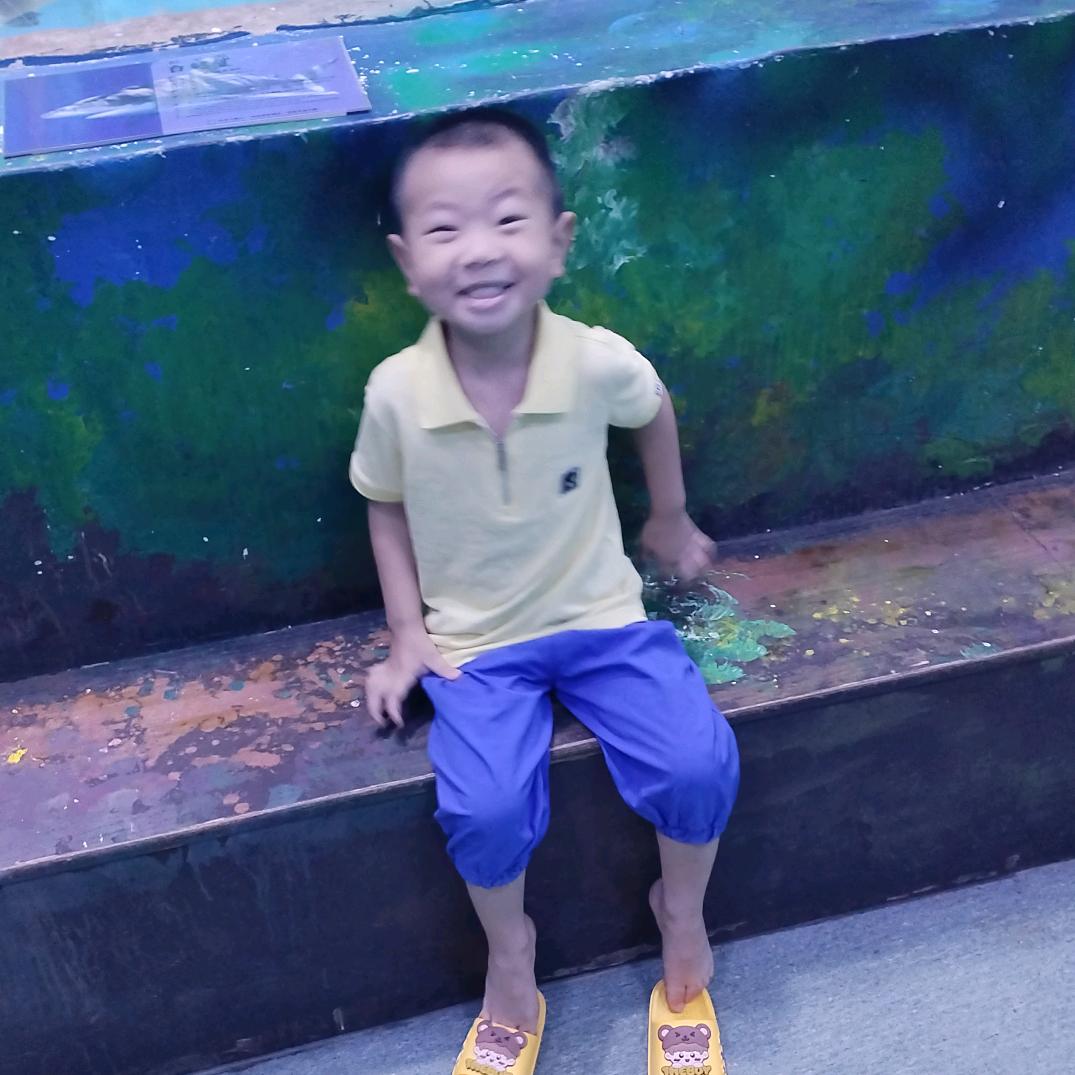风来