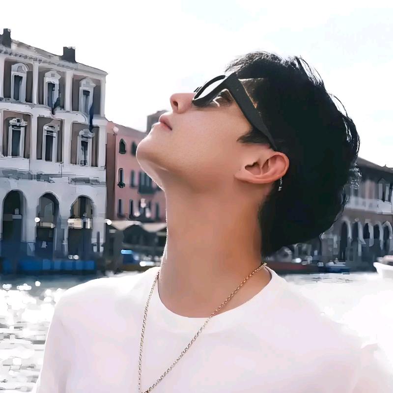 会飞的小乌龟🐢