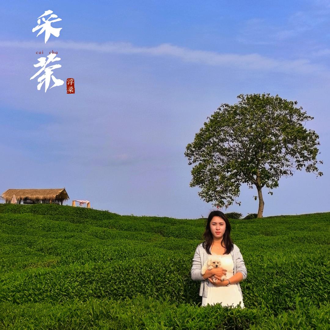 昌江区土巴兔建材经营部（个体工商户）