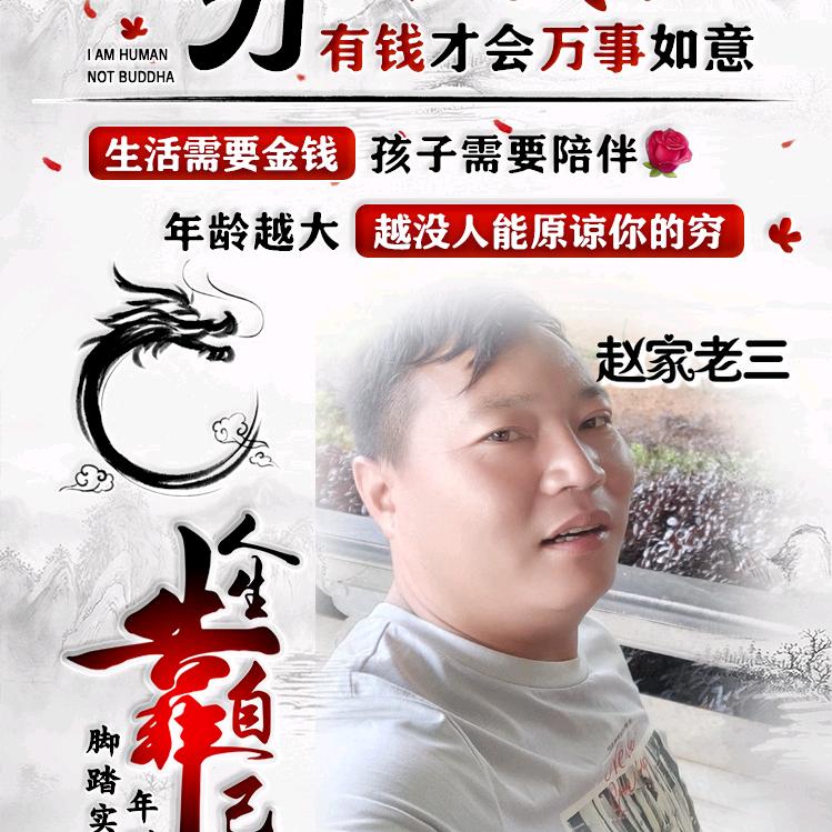 芒海边镜生猪养殖