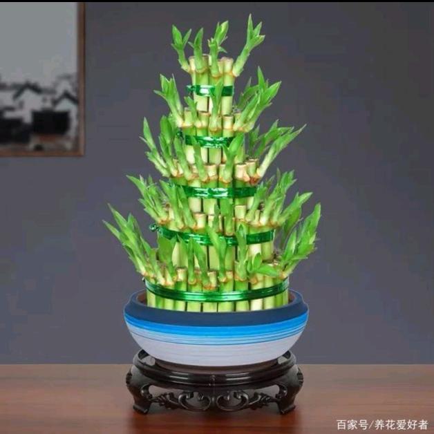 刘妥
