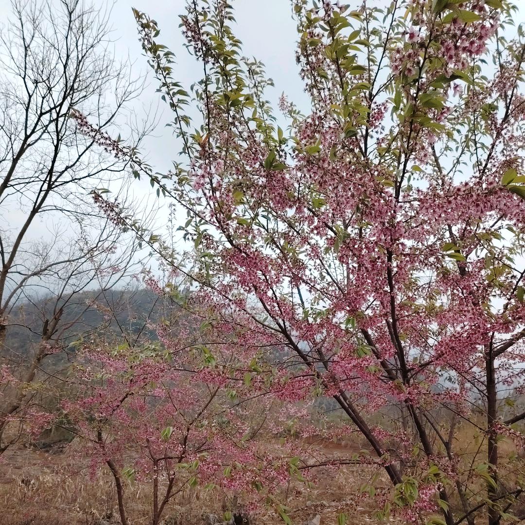 音乐梦，何剑非
