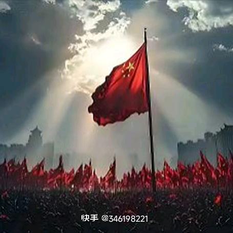 多米宝宝。