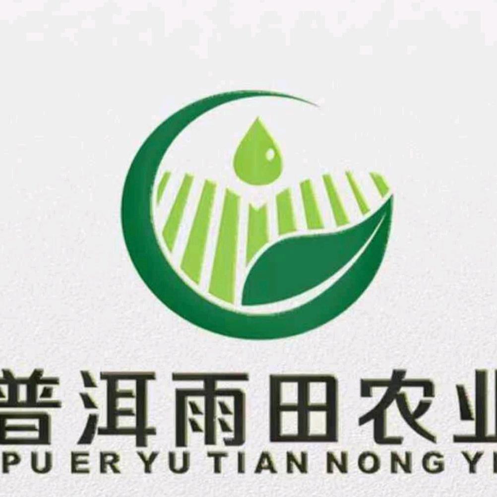 普洱雨田茶业