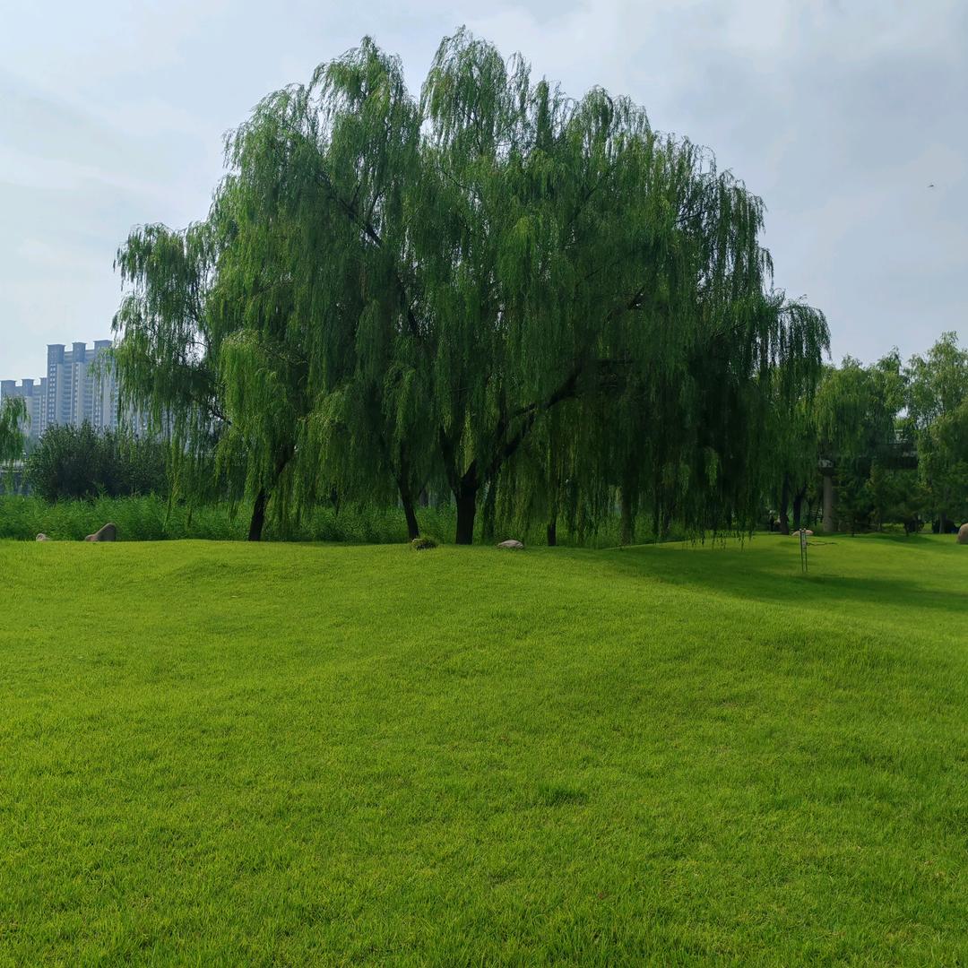 @山东小张哥😎