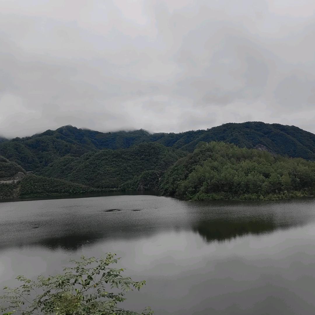 忘忧