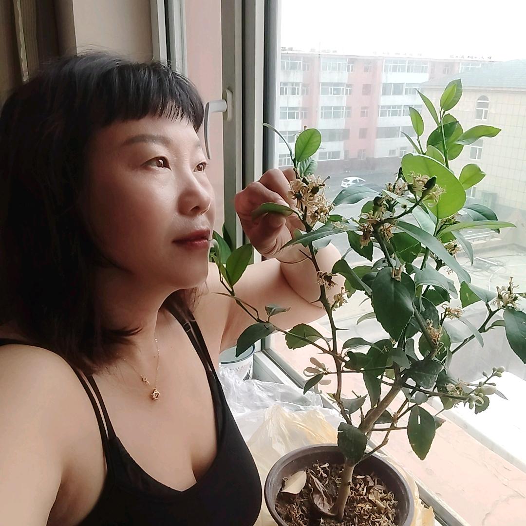 朱姐