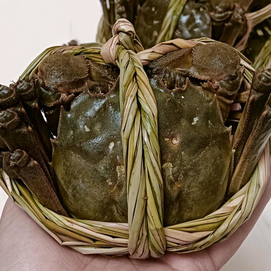 南京高淳养螃蟹的🦀（固城湖）