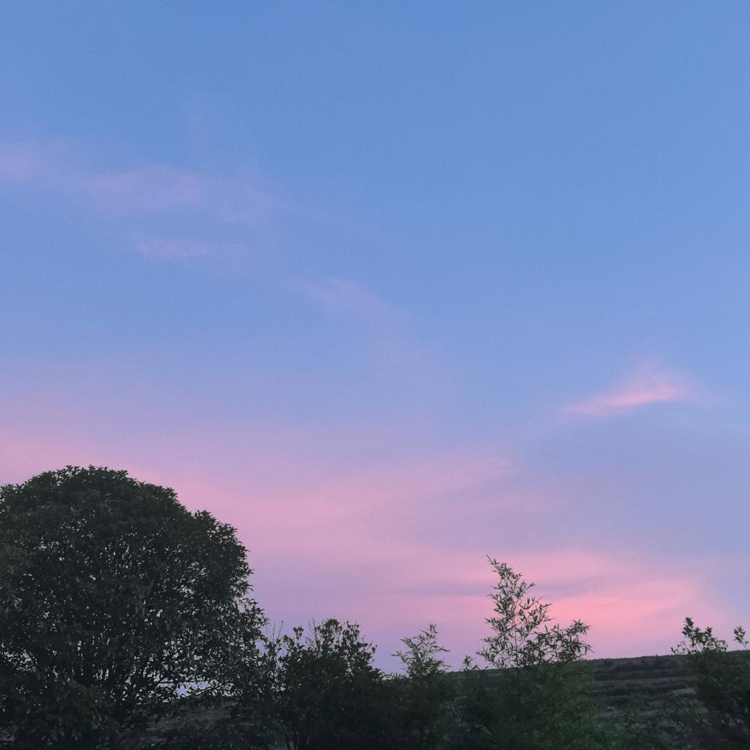 🍃濘 𧬺 时 光