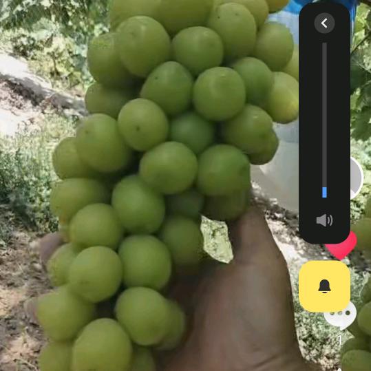 90后小伙摆摊负债前行