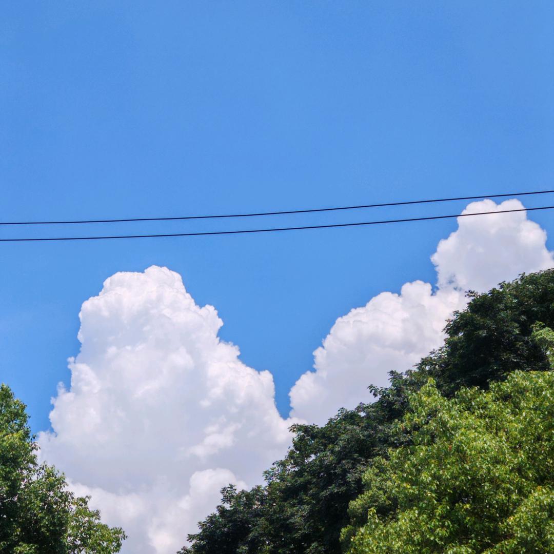 星光相伴知我意