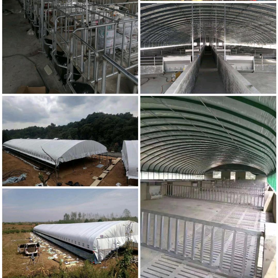 蚌埠专业建养殖棚