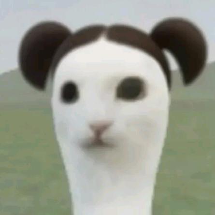 ^ω^
