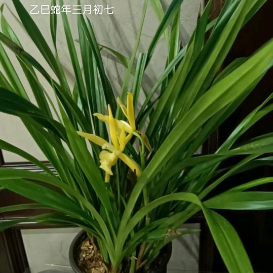 涛声依旧