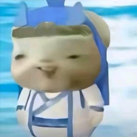 wan 安