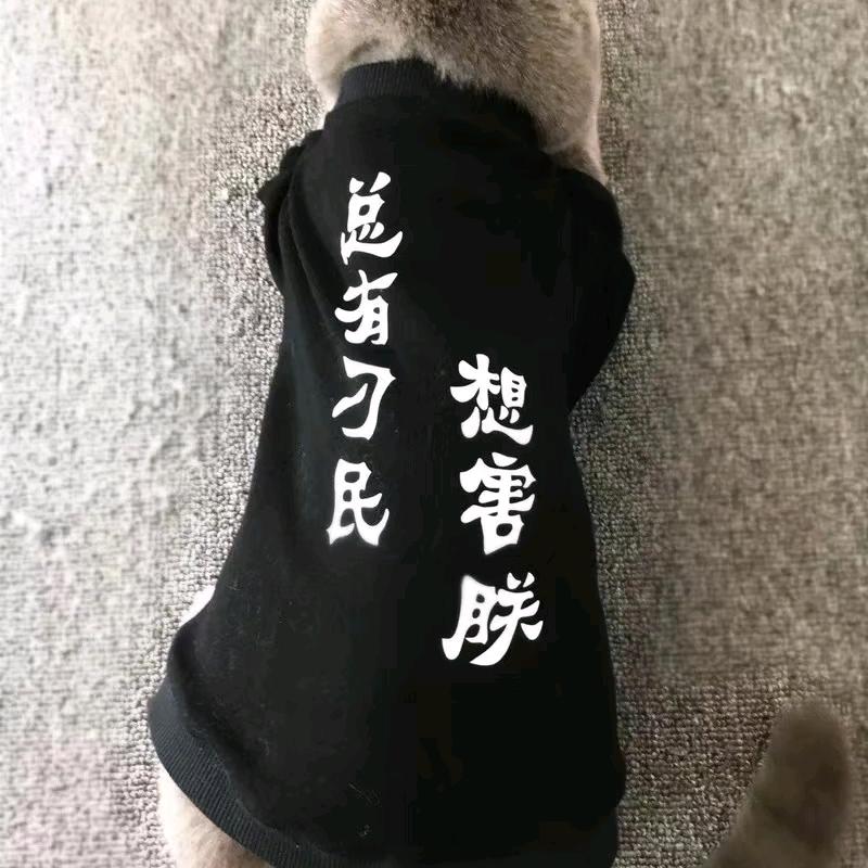 人生若只如初见