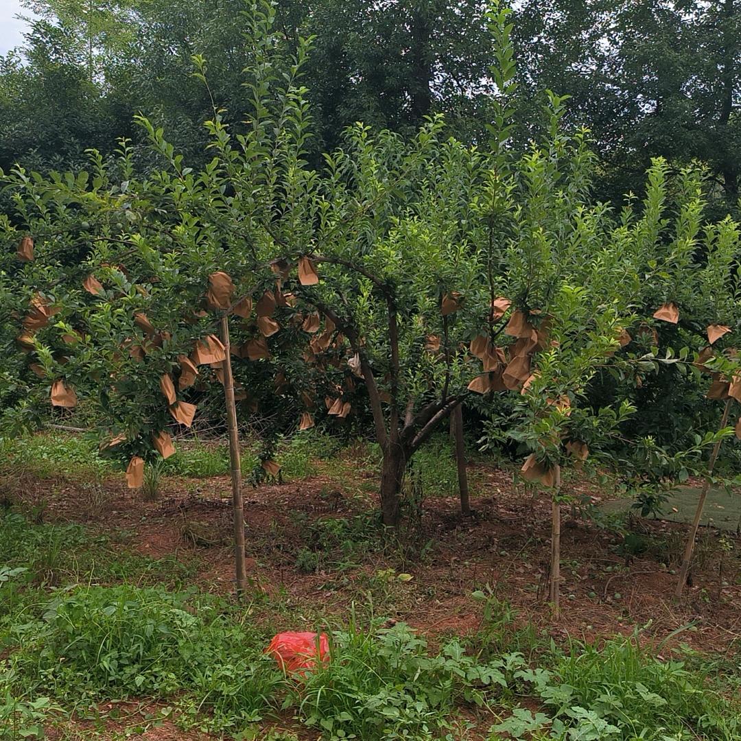 爱钓鱼的挖机佬