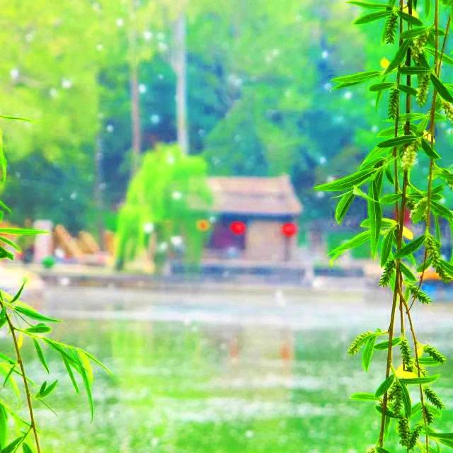 大美临朐