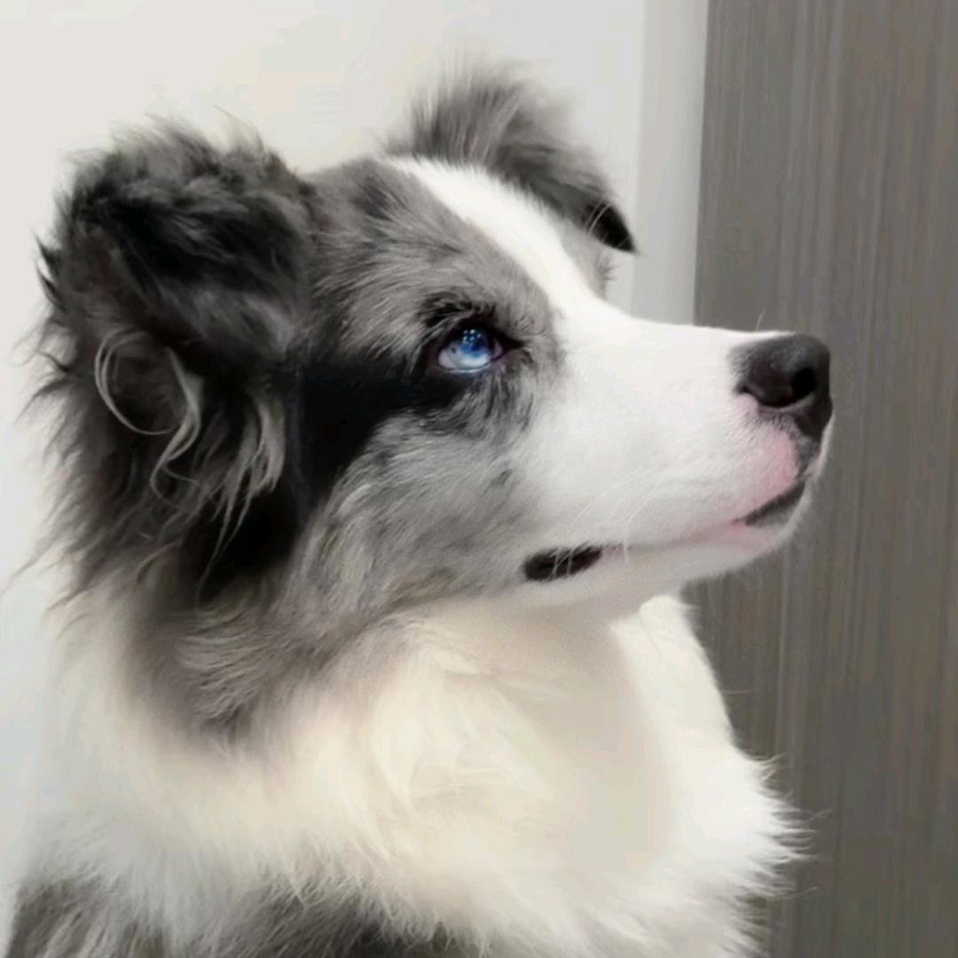 词不达意