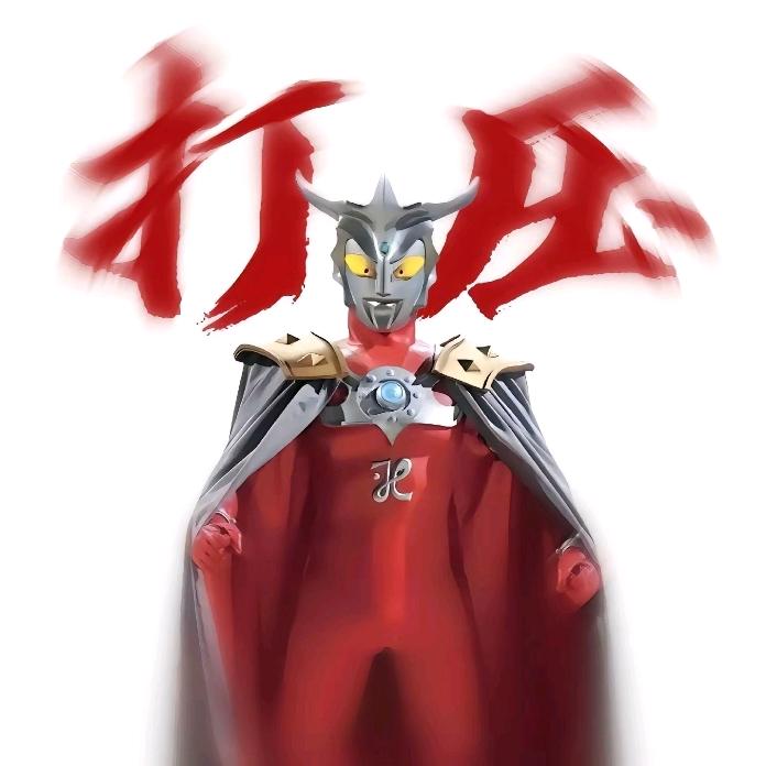 超级守法的入🏸