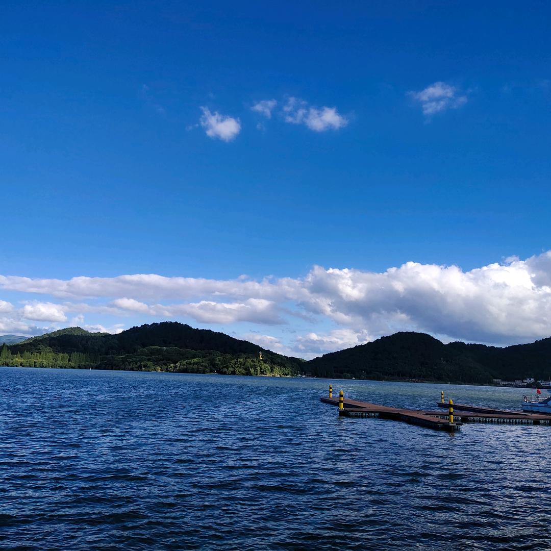 鱼吃粥