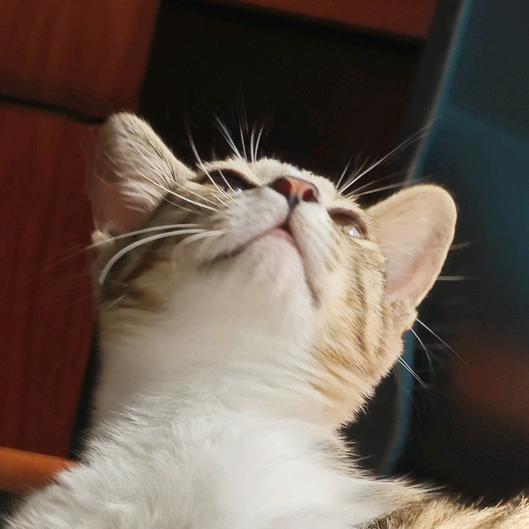 人.