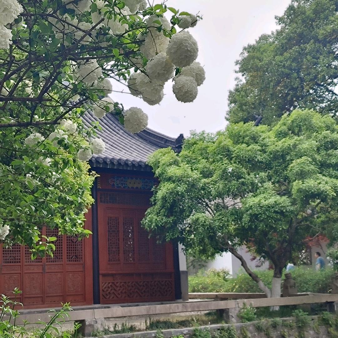 首席执行官