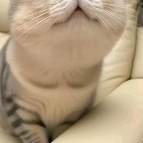 AI愉悦