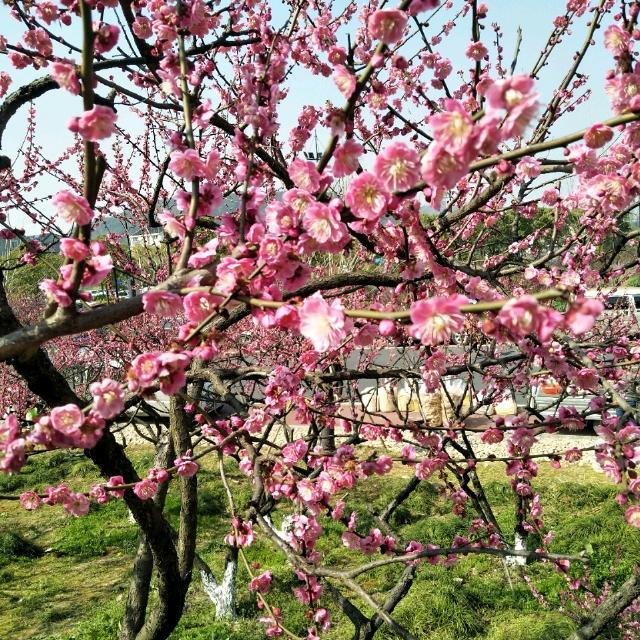 从此陌路人