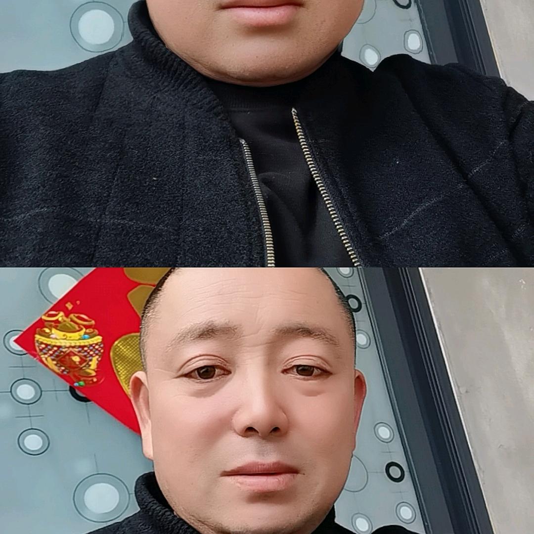 zhang,fei.飞来飞去