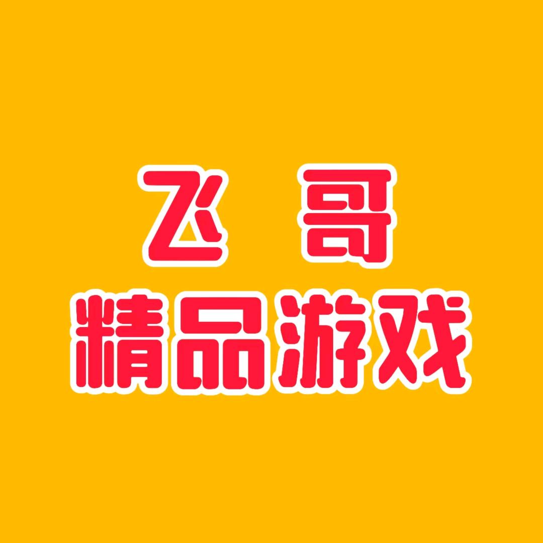 飞哥游戏硬盘