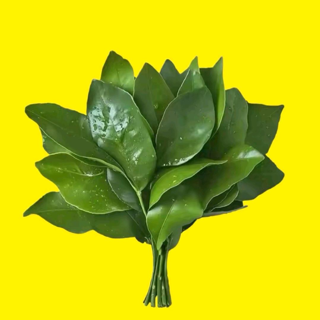 悟道养生