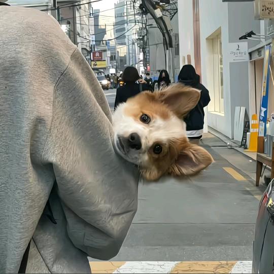 每天都在吃