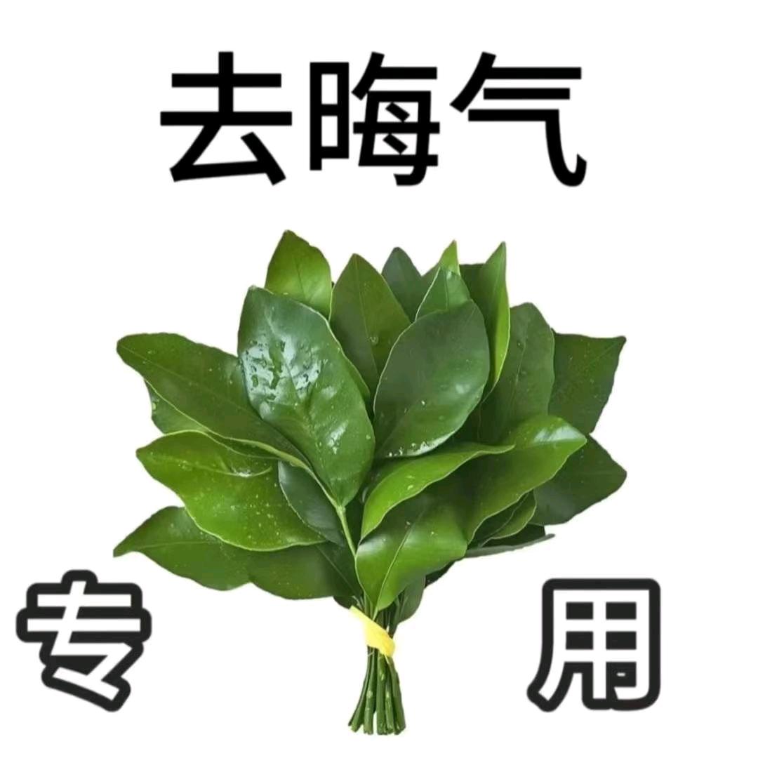 白林