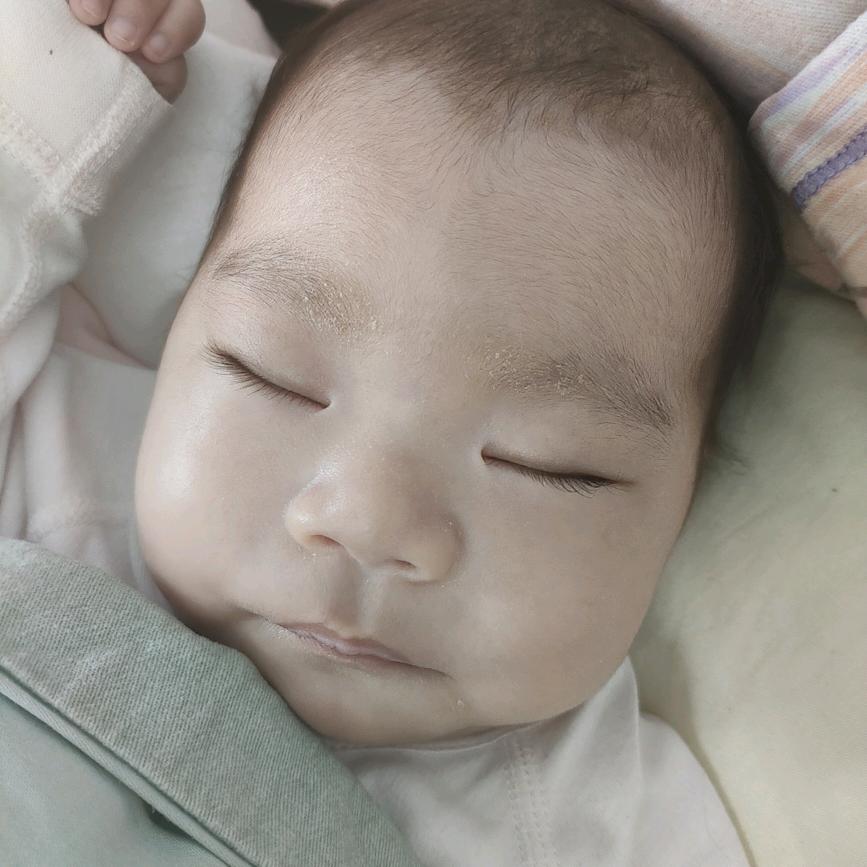 ᰔᩚ.南鸢离梦ꦿ