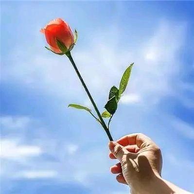 🌹苏醒～Love🍁