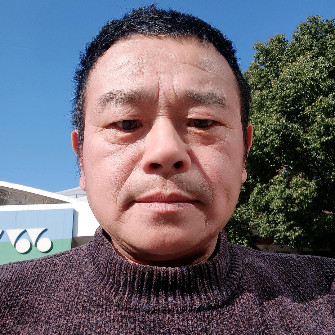 牧鸽闲云