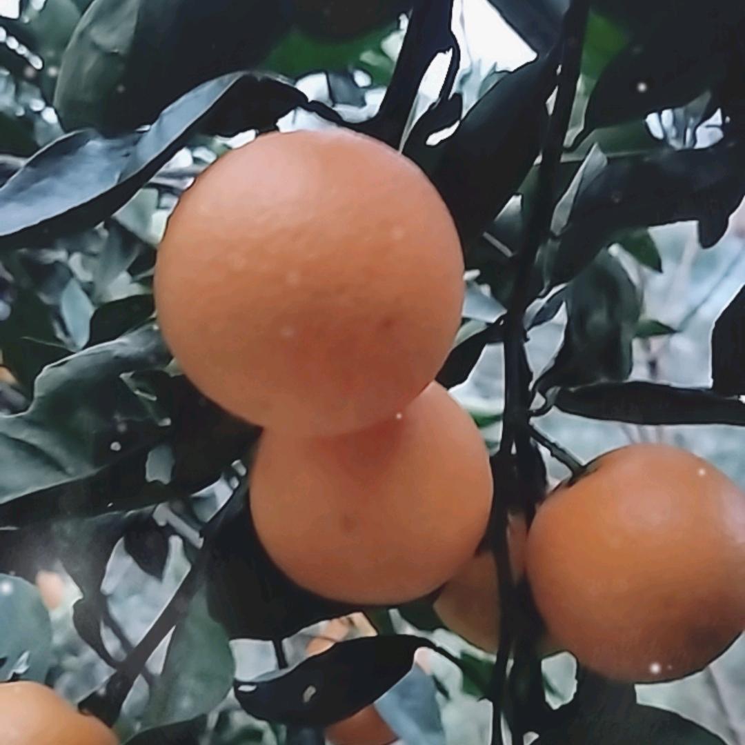 余生有你