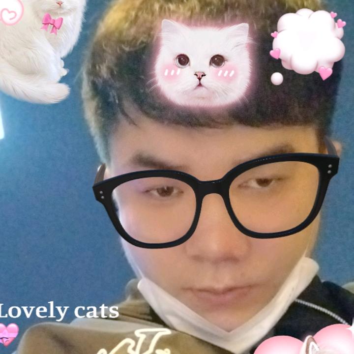 @心易碎请勿碰け