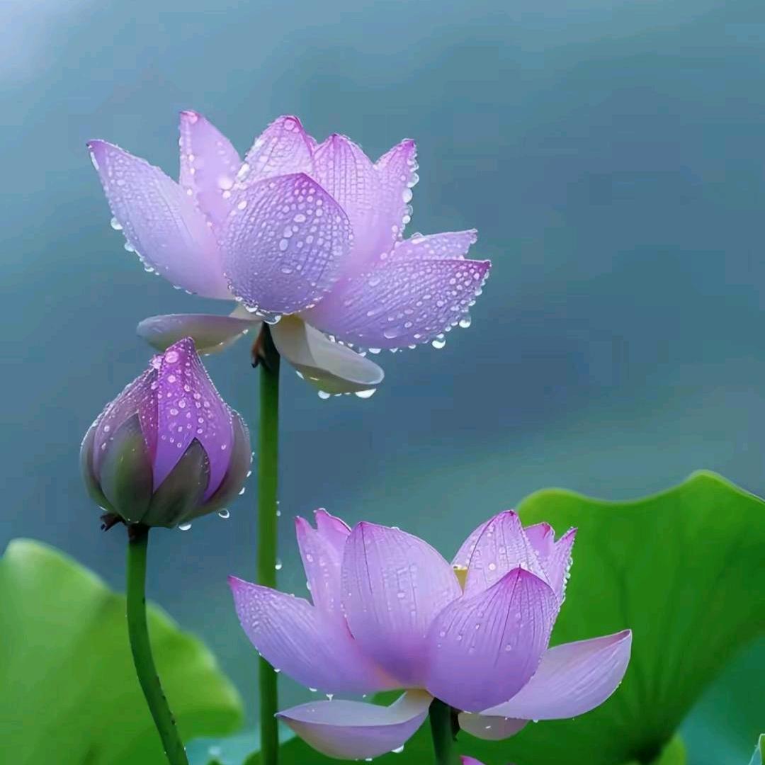 🍀小幸运🍒🍒