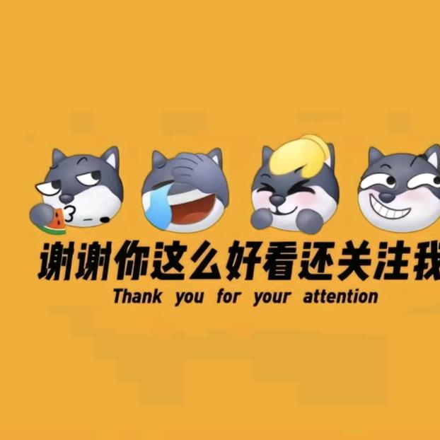 追求