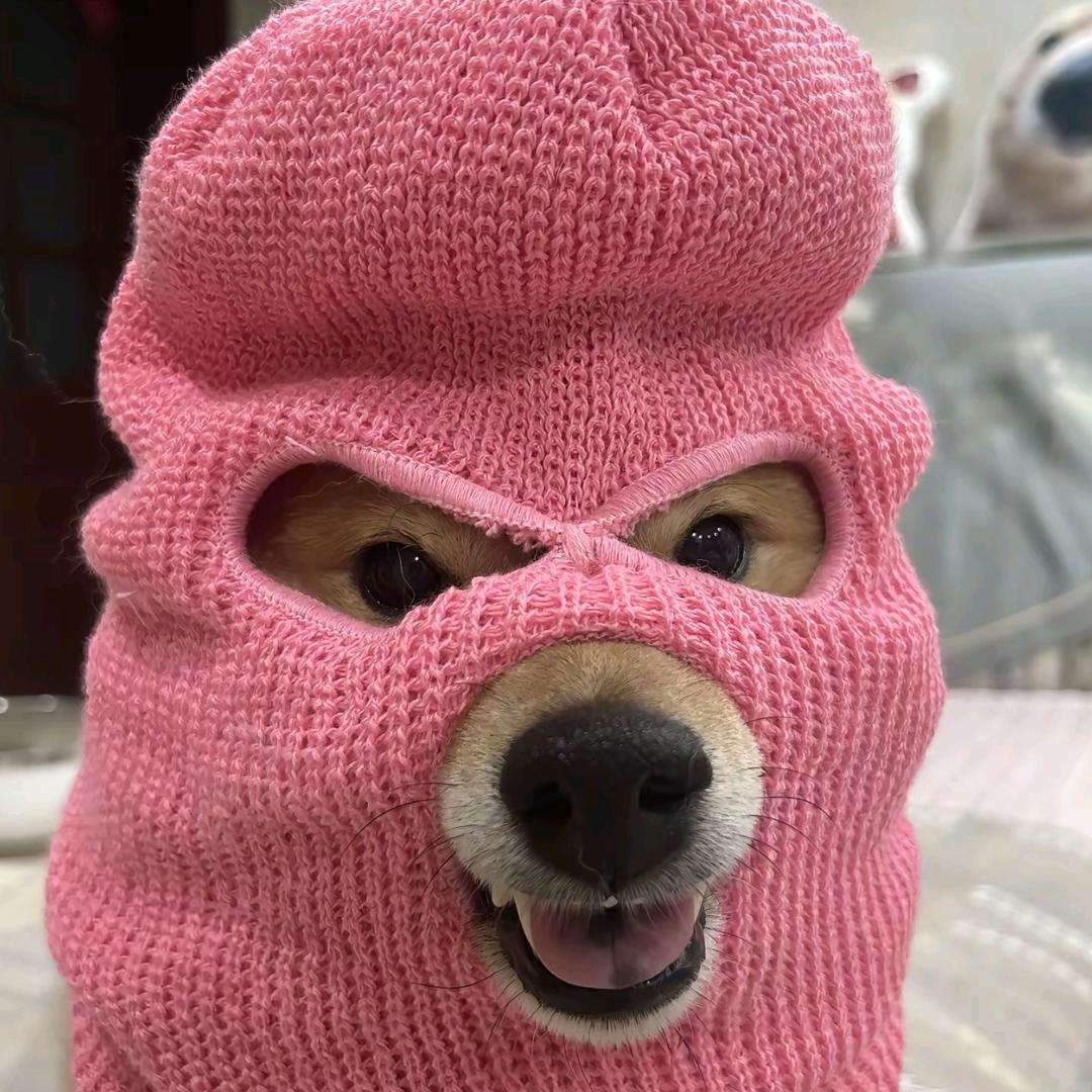 今天吃了吗（排骨）